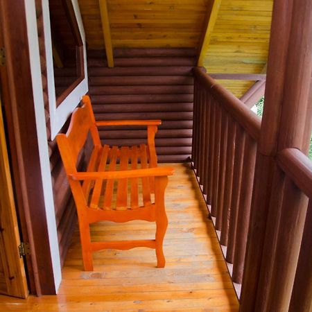 Suenos Del Bosque Lodge San Gerardo de Dota Δωμάτιο φωτογραφία