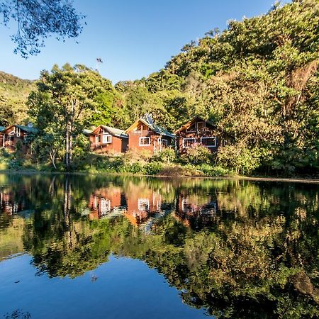 Suenos Del Bosque Lodge San Gerardo de Dota Εξωτερικό φωτογραφία