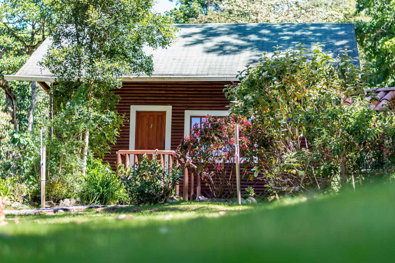 Suenos Del Bosque Lodge San Gerardo de Dota Εξωτερικό φωτογραφία