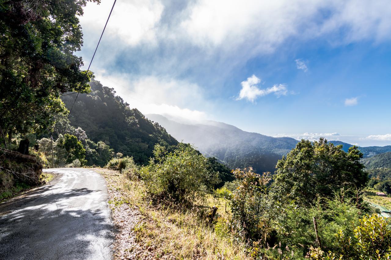 Suenos Del Bosque Lodge San Gerardo de Dota Εξωτερικό φωτογραφία