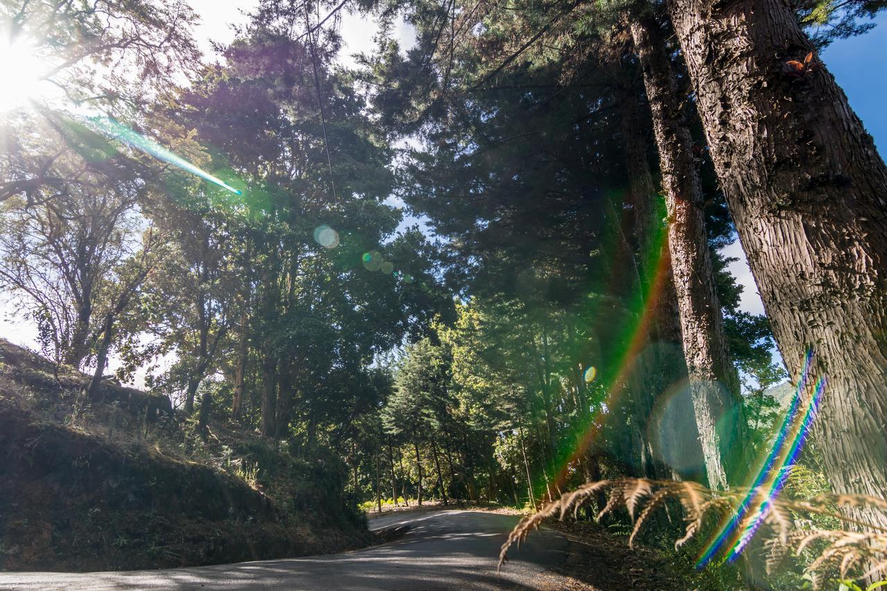 Suenos Del Bosque Lodge San Gerardo de Dota Εξωτερικό φωτογραφία