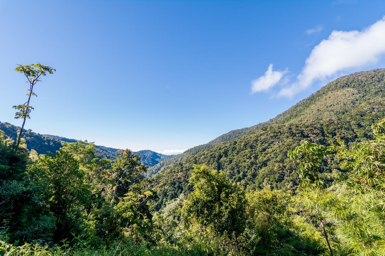 Suenos Del Bosque Lodge San Gerardo de Dota Εξωτερικό φωτογραφία