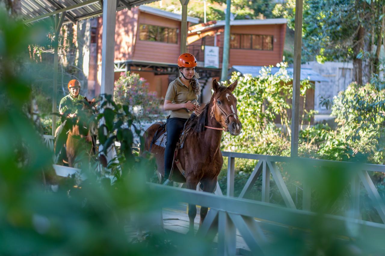 Suenos Del Bosque Lodge San Gerardo de Dota Εξωτερικό φωτογραφία
