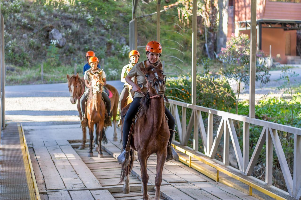Suenos Del Bosque Lodge San Gerardo de Dota Εξωτερικό φωτογραφία