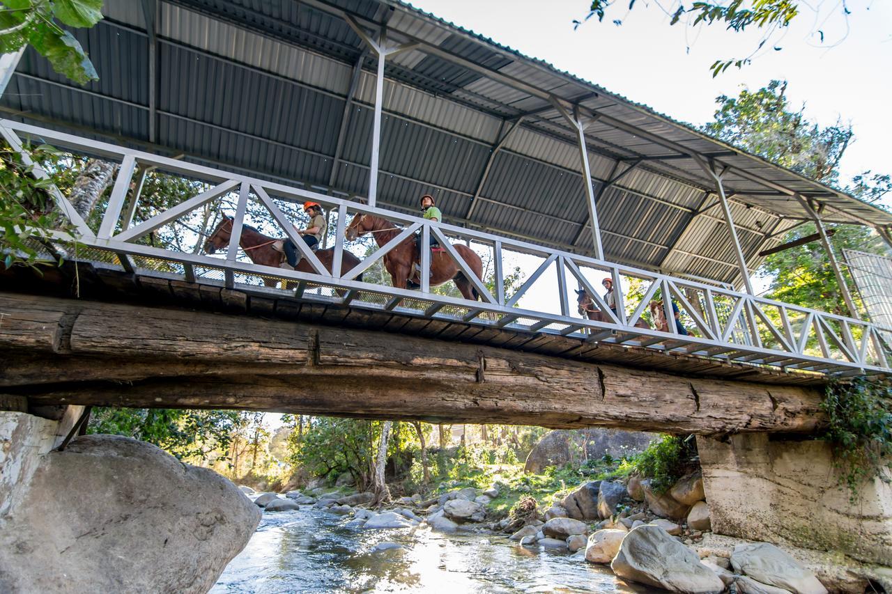Suenos Del Bosque Lodge San Gerardo de Dota Εξωτερικό φωτογραφία