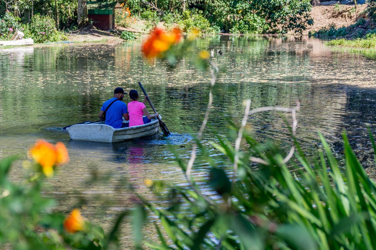 Suenos Del Bosque Lodge San Gerardo de Dota Εξωτερικό φωτογραφία