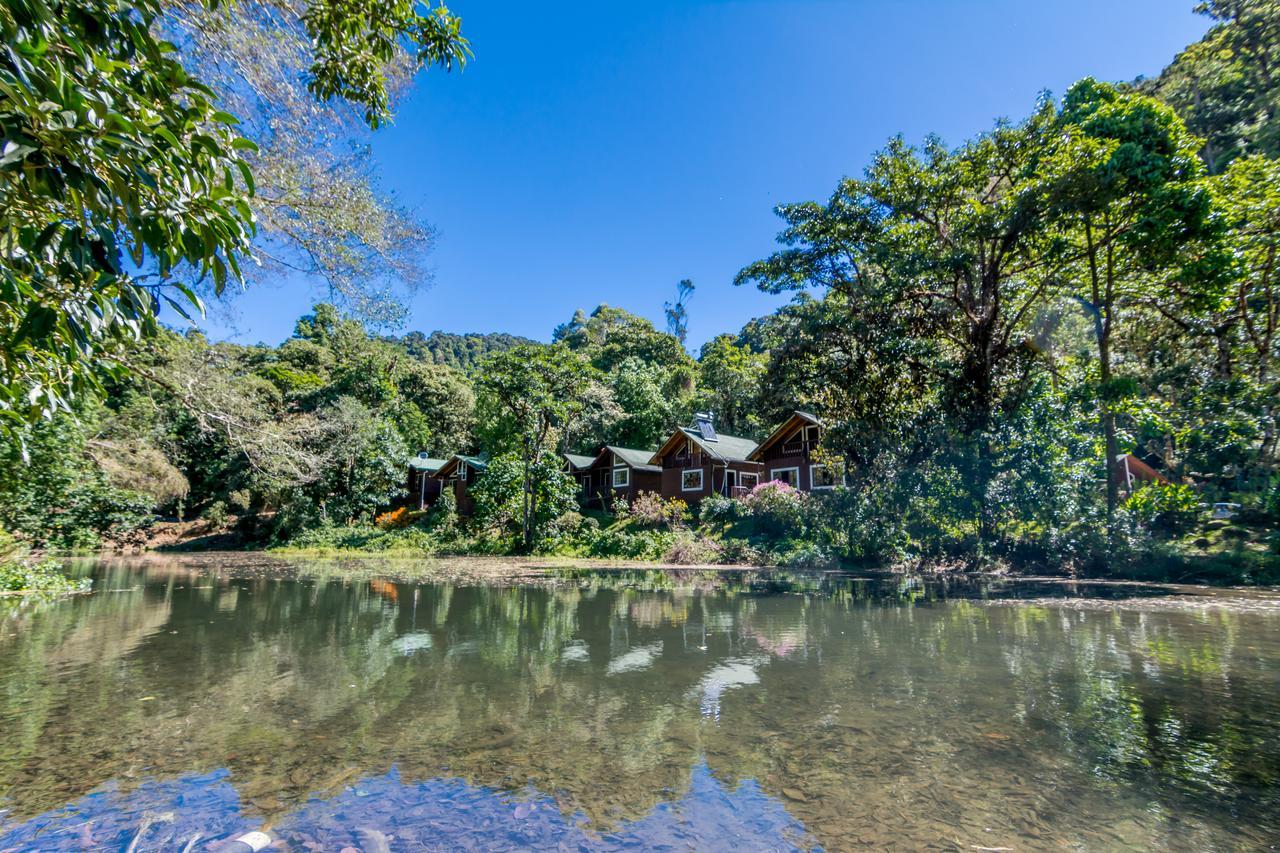 Suenos Del Bosque Lodge San Gerardo de Dota Εξωτερικό φωτογραφία