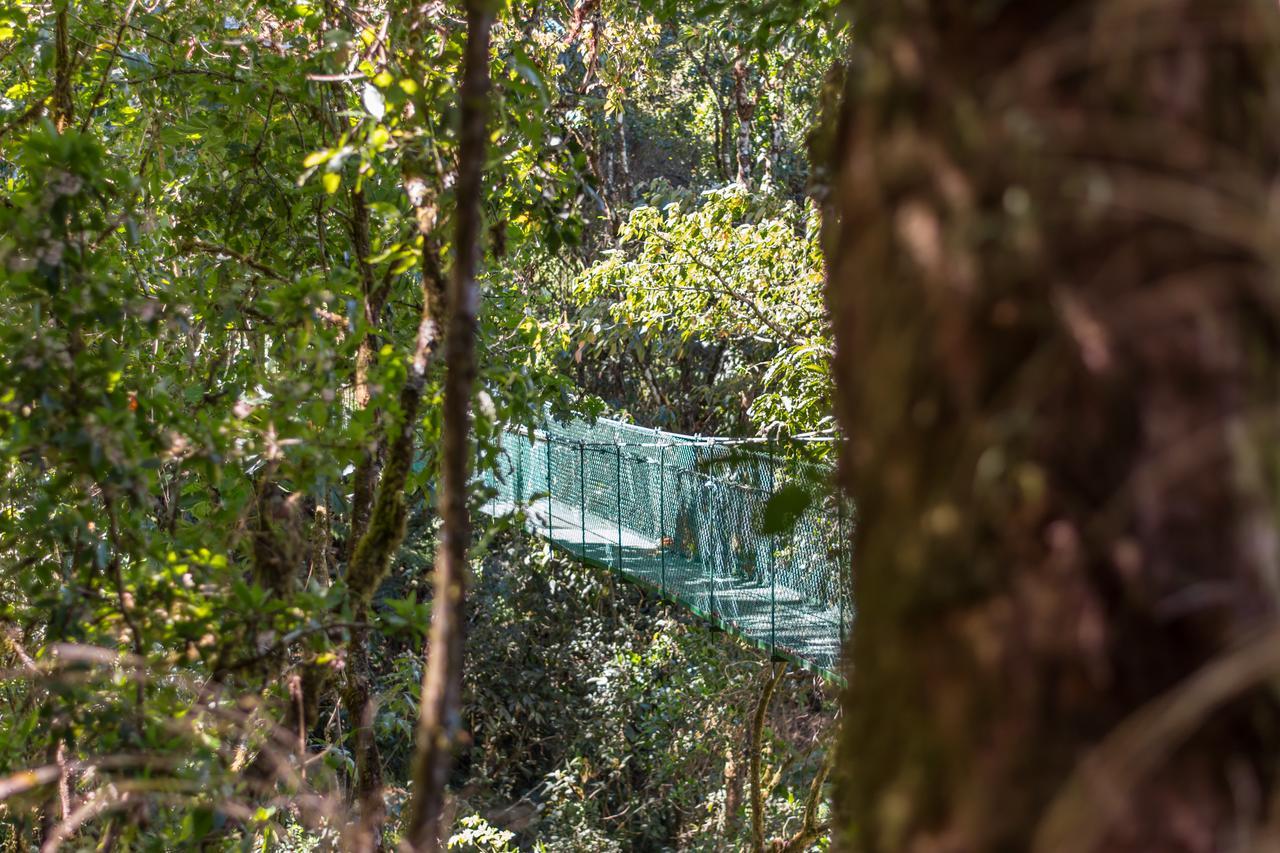 Suenos Del Bosque Lodge San Gerardo de Dota Εξωτερικό φωτογραφία