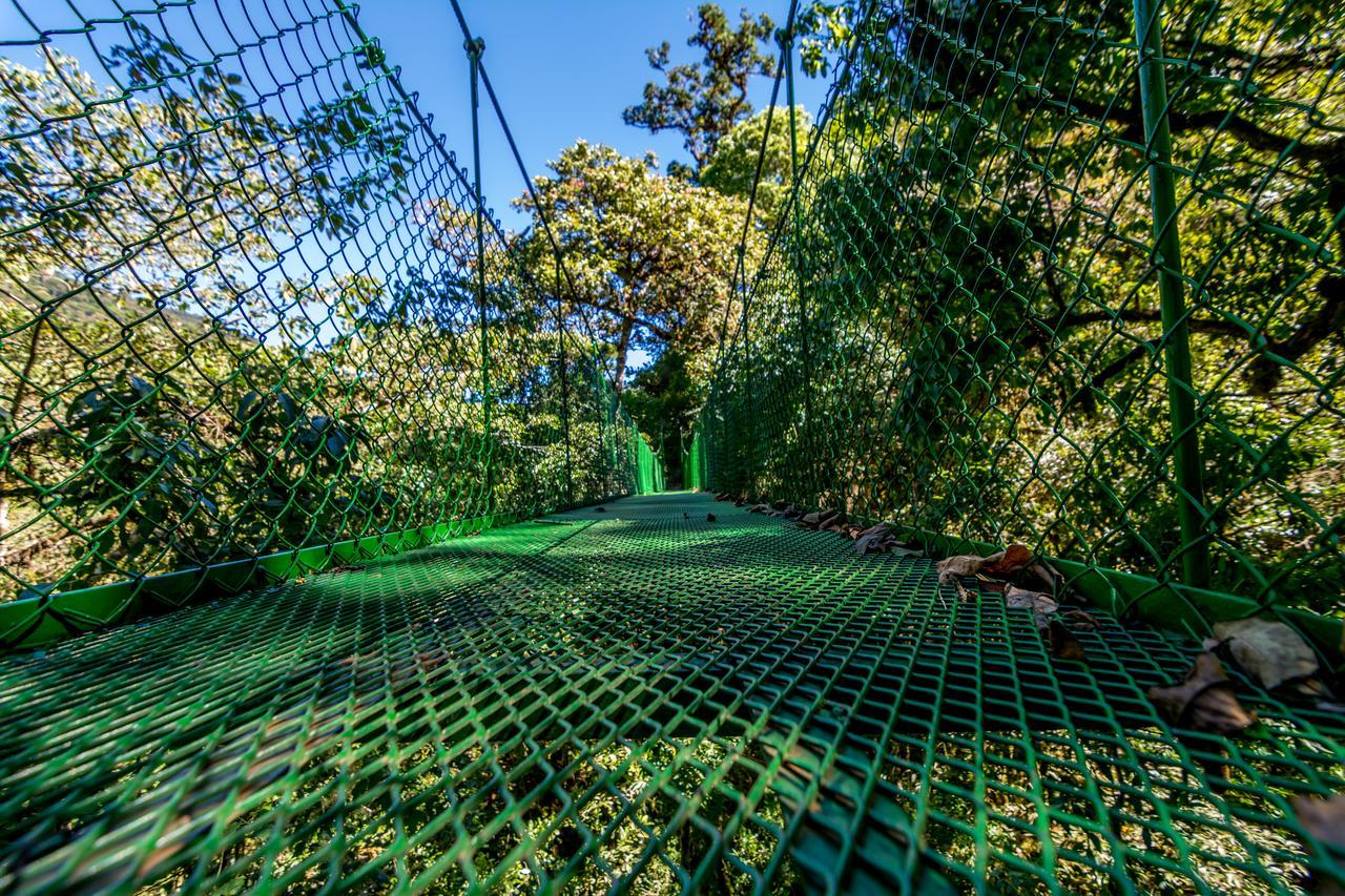 Suenos Del Bosque Lodge San Gerardo de Dota Εξωτερικό φωτογραφία