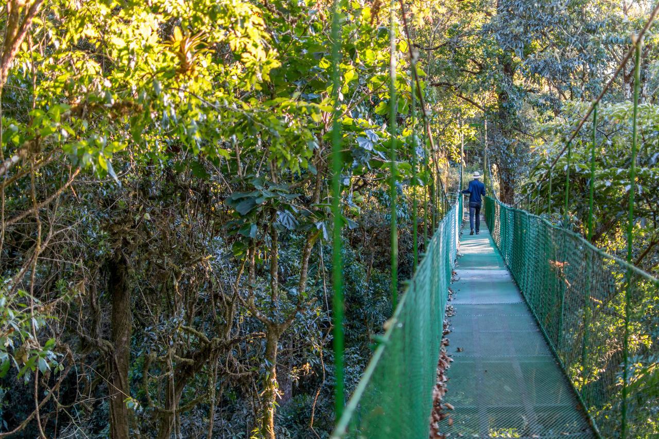 Suenos Del Bosque Lodge San Gerardo de Dota Εξωτερικό φωτογραφία