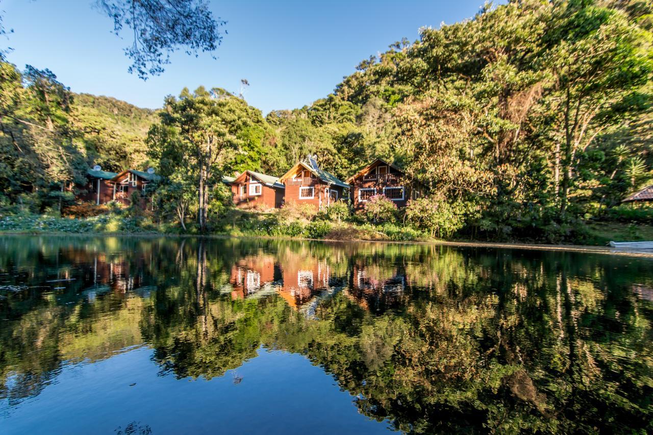 Suenos Del Bosque Lodge San Gerardo de Dota Εξωτερικό φωτογραφία