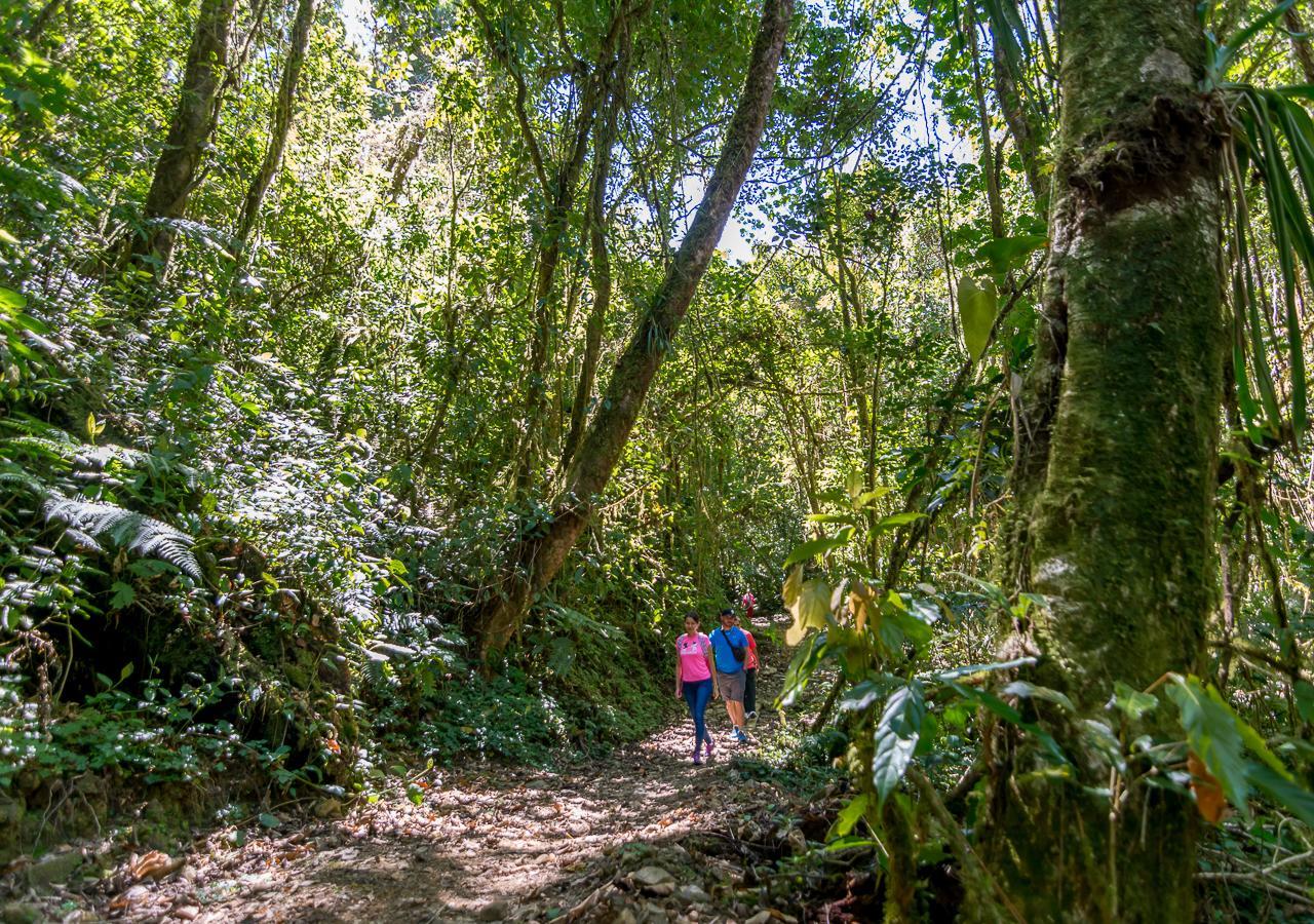 Suenos Del Bosque Lodge San Gerardo de Dota Εξωτερικό φωτογραφία